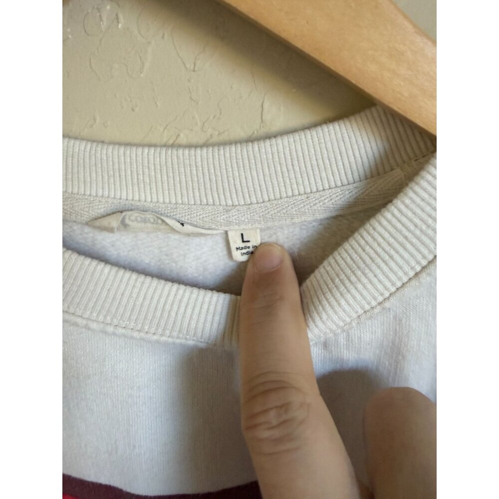 cotopaxi White Crewneck Sweatshirt with Rainbow Stripe - Picture 4 of 11